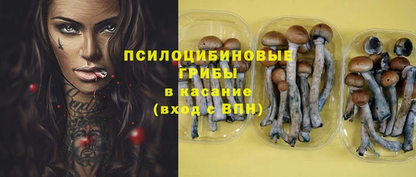 MESCALINE Богородск