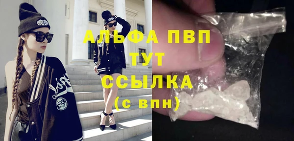 тгк Богданович