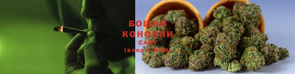 тгк Богданович