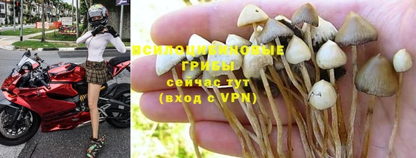 тгк Богданович