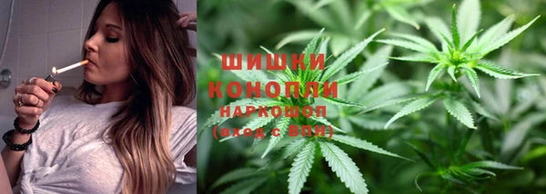 тгк Богданович