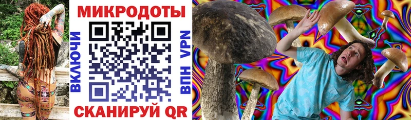 Купить  Богородск  Псилоцибиновые грибы Magic Shrooms 